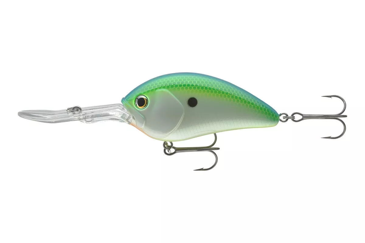citrus shad