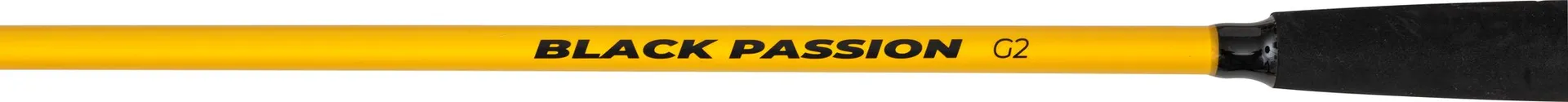 BLACK CAT 2,40m Black Passion G2 Spin 50-200g weitere Ansicht