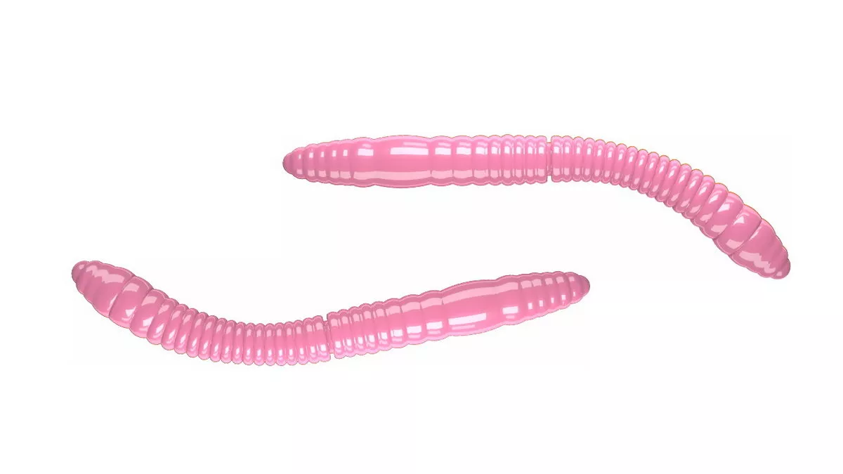 Bubblegum