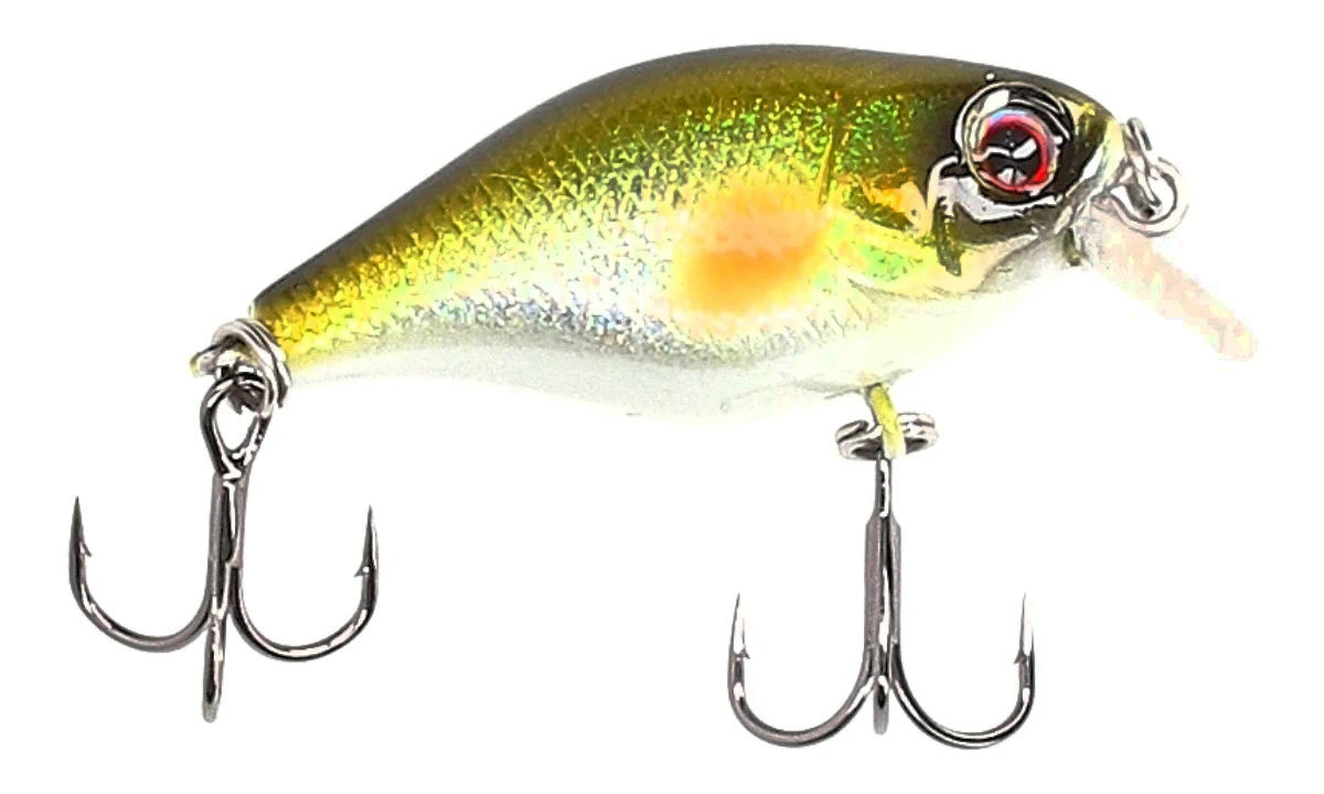 MOSTAL Nora 38 Ayu floating