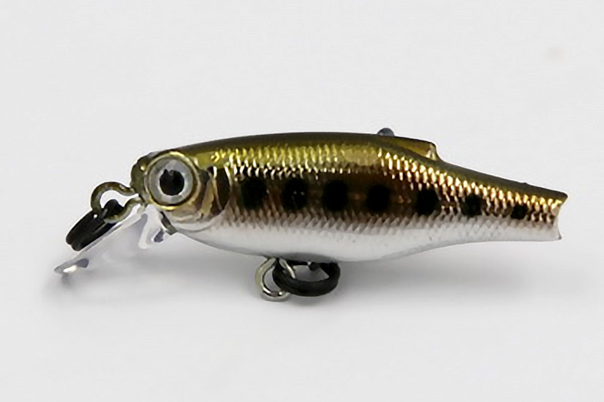 Little Minnow