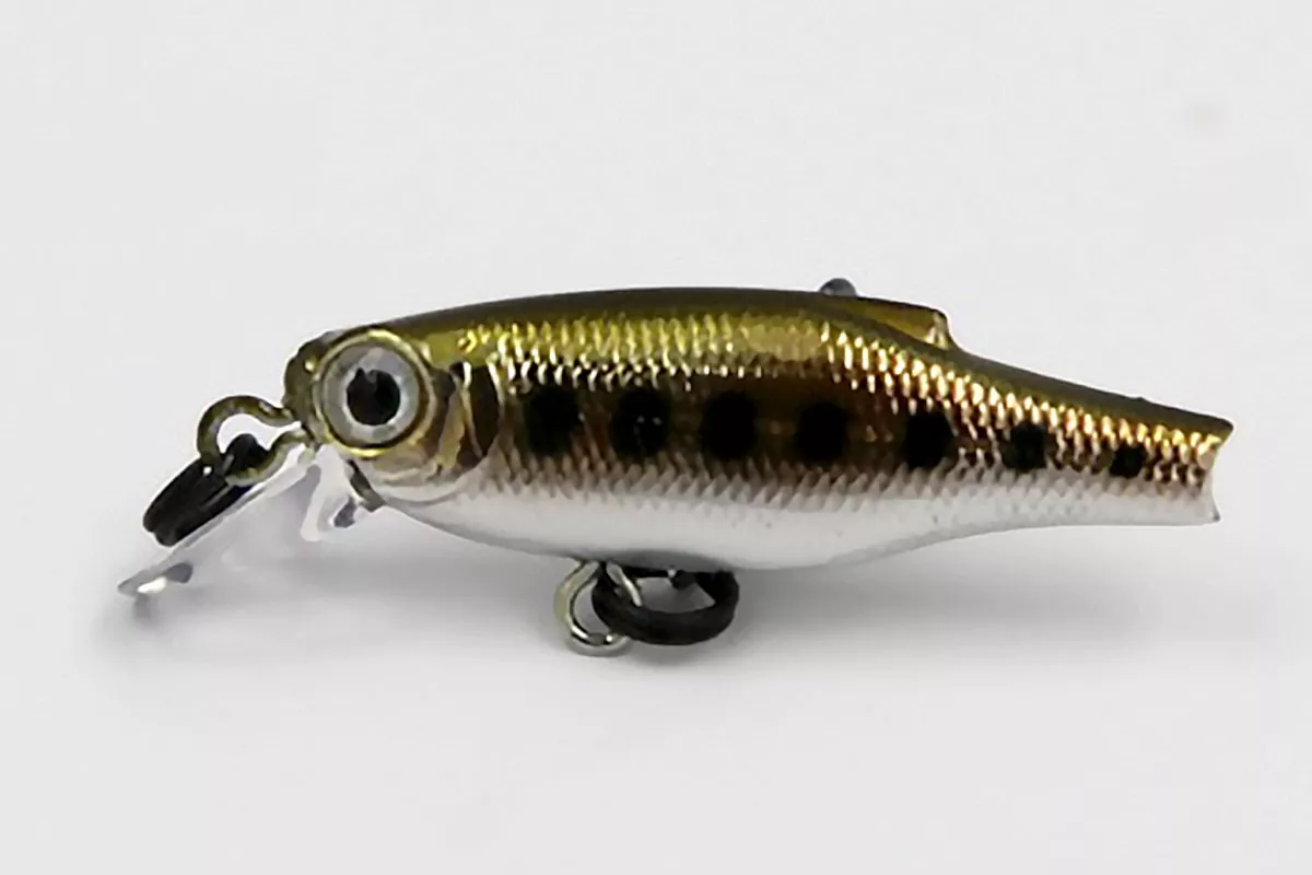 Little Minnow