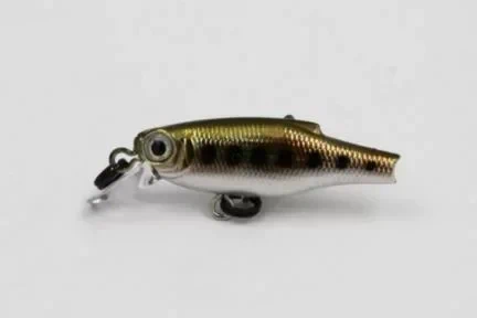 Gold Trout