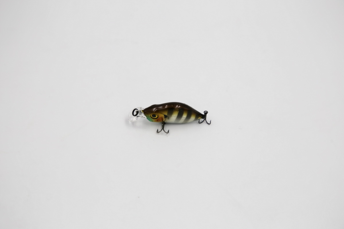 TAIPAN Humpback US Perch 33mm
