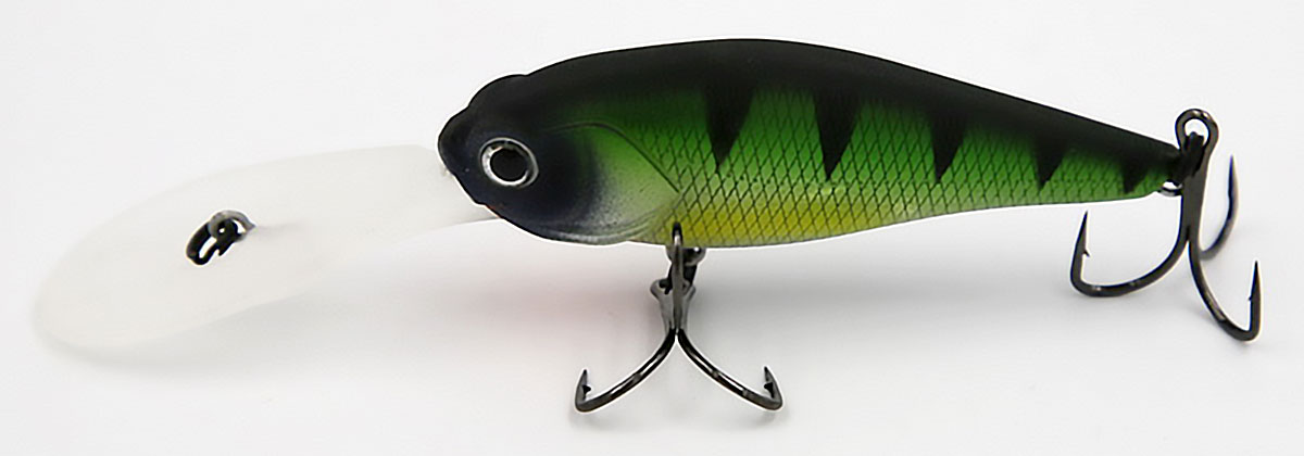 Green Perch