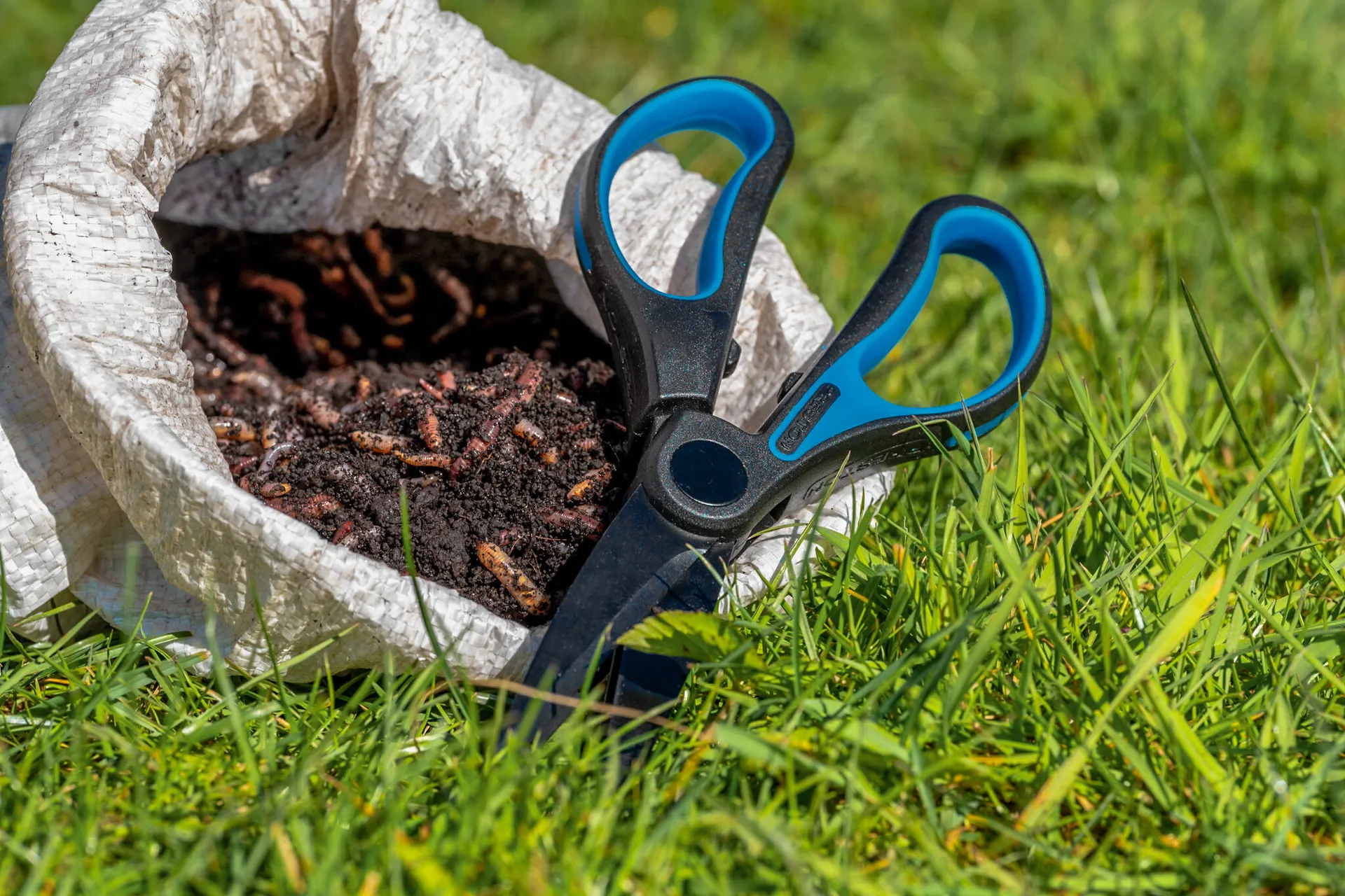 PRESTON Worm Scissors weitere Ansicht