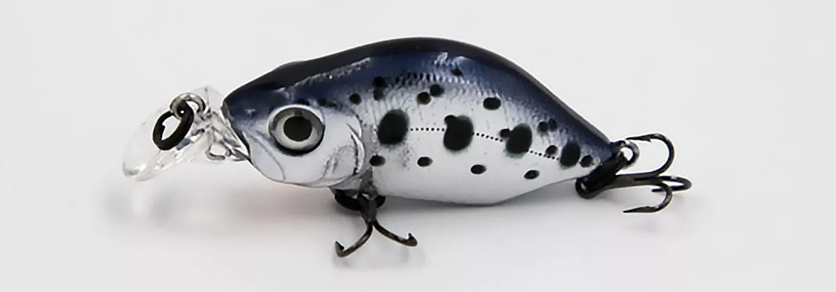 Chrome Trout