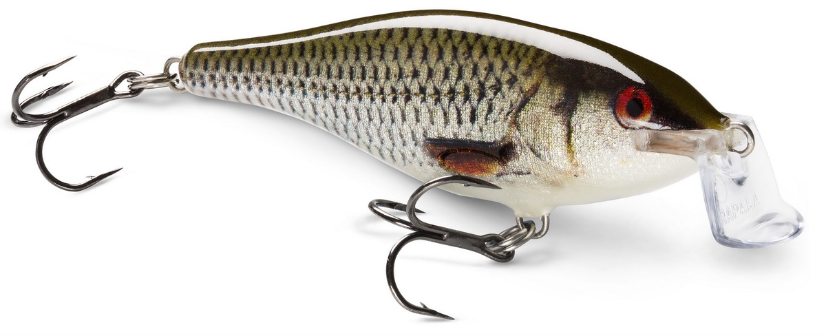 RAPALA Shad Rap SR schwimmend RAPALA Shad Rap SR schwimmend