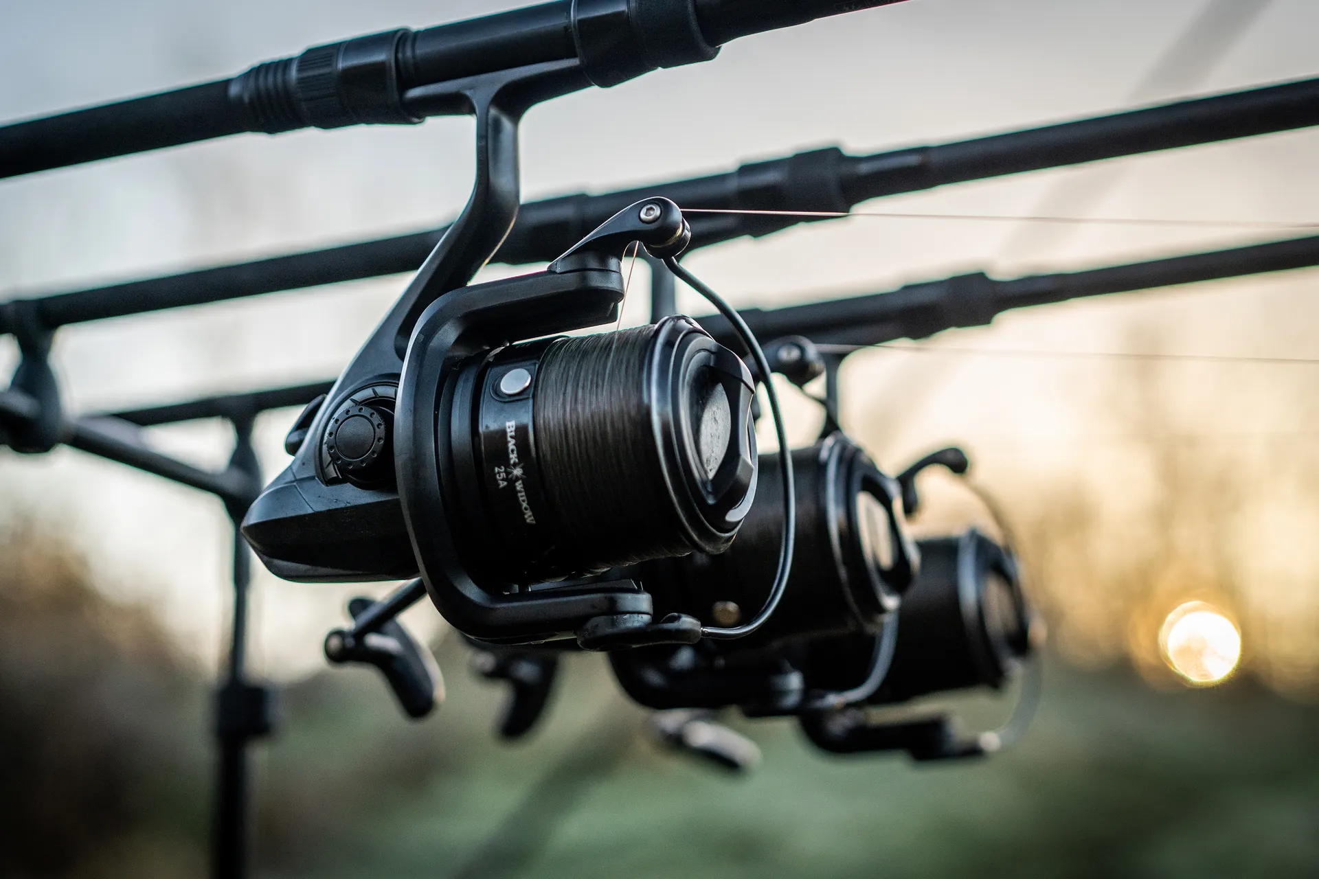 Daiwa Black Widow 25 A Big Pit Rolle Ansicht 2