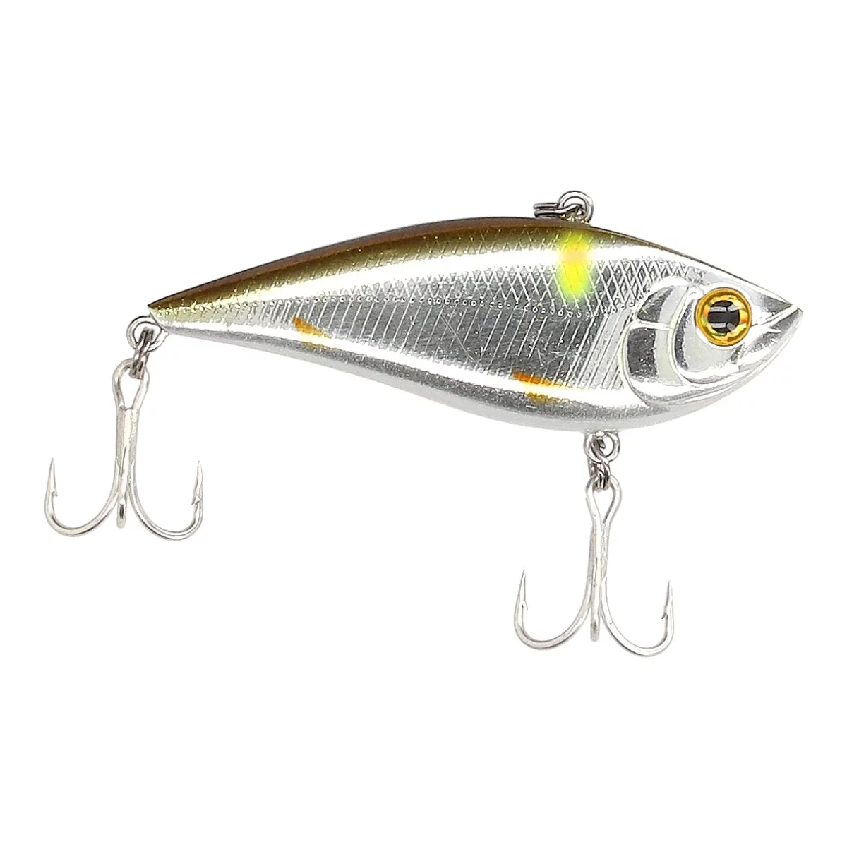 Gold Shiner