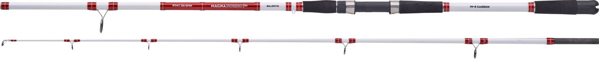 BALZER Magna Nordic Pro Boat 30 Spin 2.40m