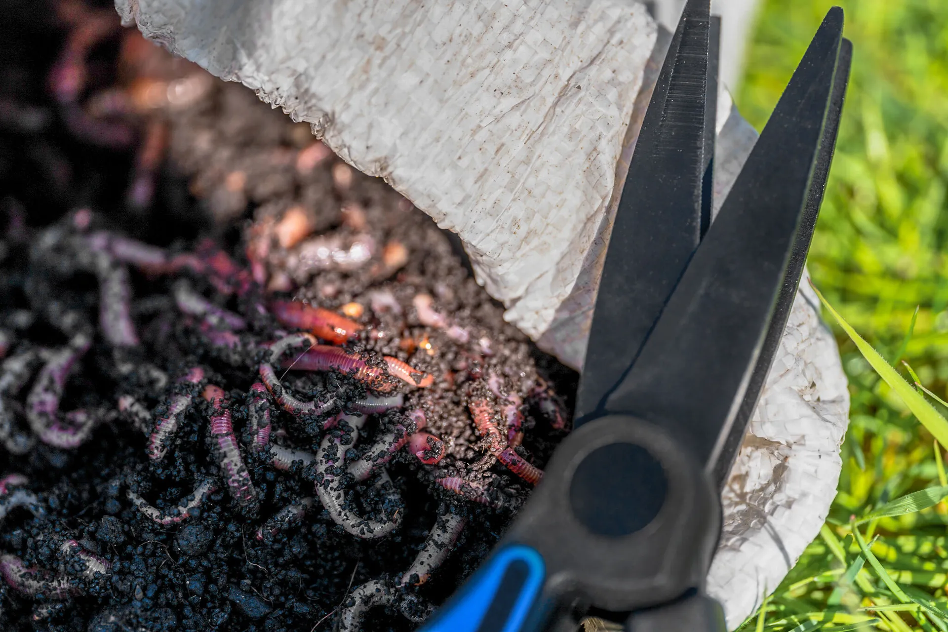 PRESTON Worm Scissors weitere Ansicht