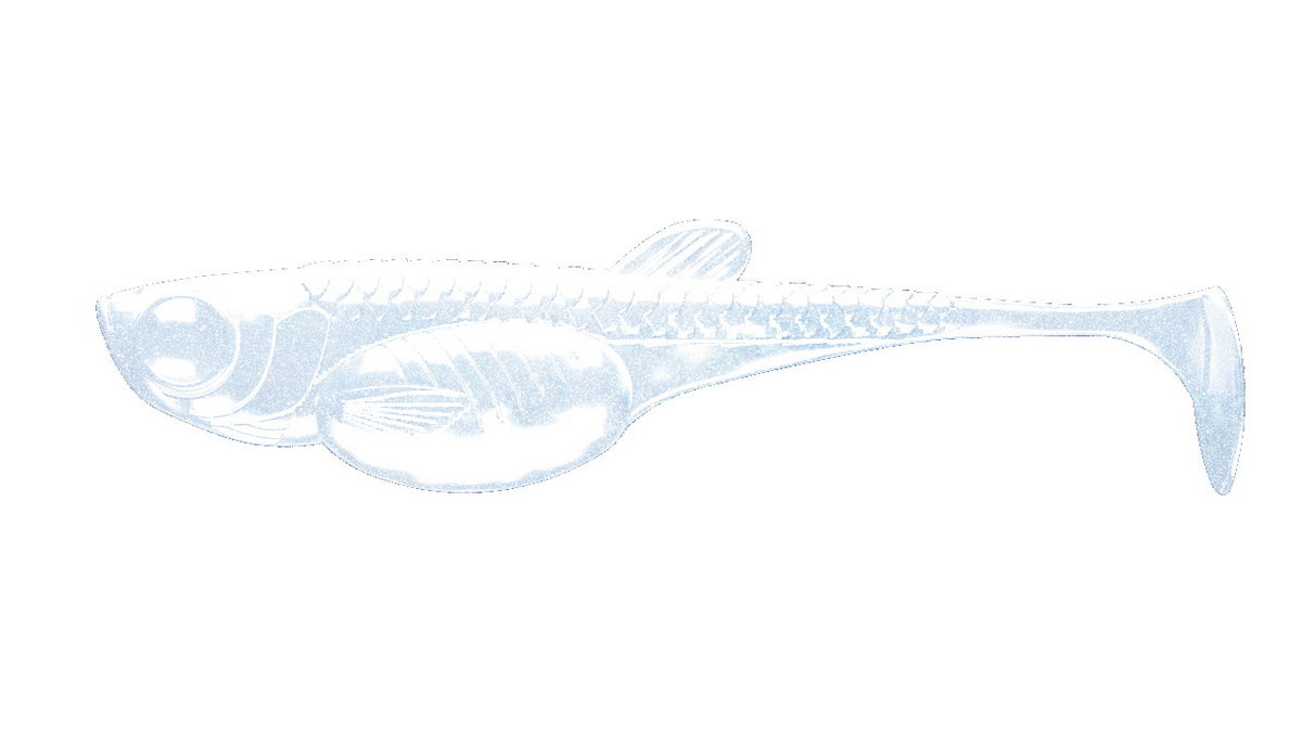 LIBRA LURES Embrion Shad 50 Fish 003-Blue Pearl 10st, Forellenköder, schwimmend und aromatisiert