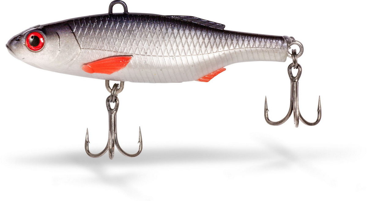 Baitfish