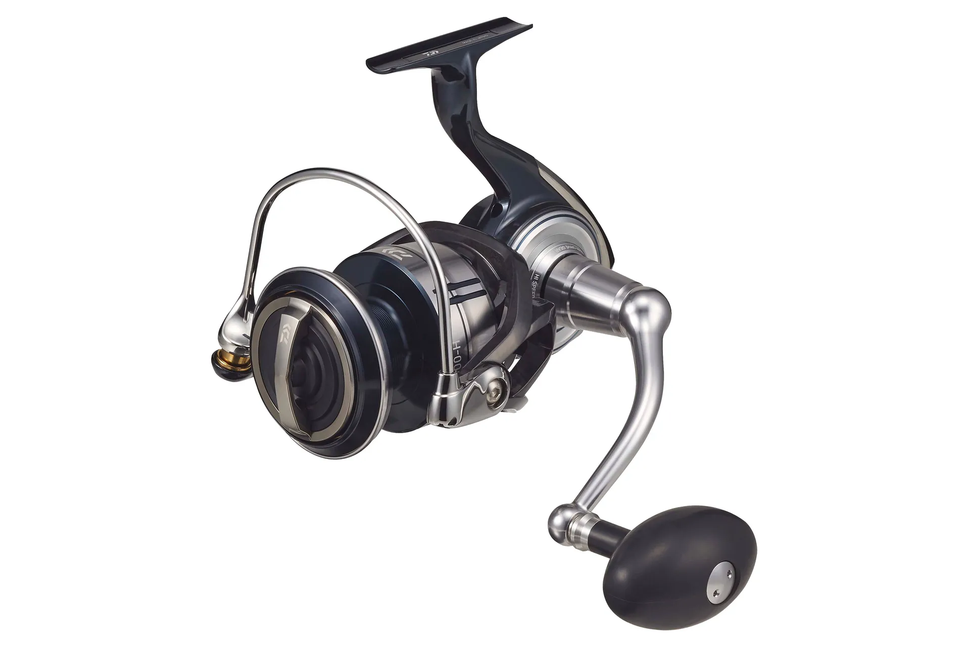 Daiwa 21 Certate SW 8000-H Meeresrolle Ansicht 2