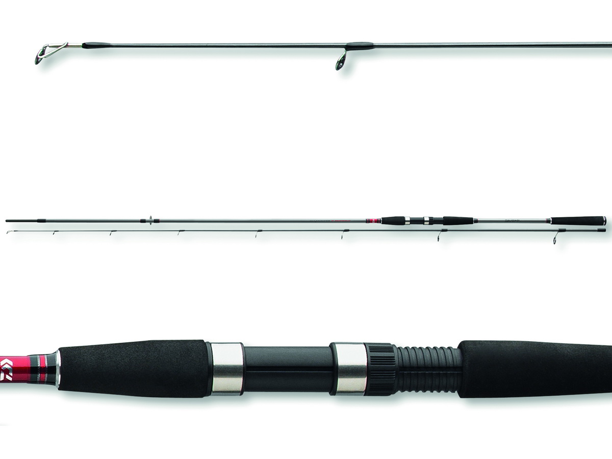DAIWA Seahunter X Seatrout 3.10m 10-40g Steckrute Spin