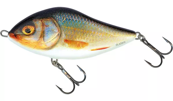 SALMO Slider 10cm Real Roach Sinking