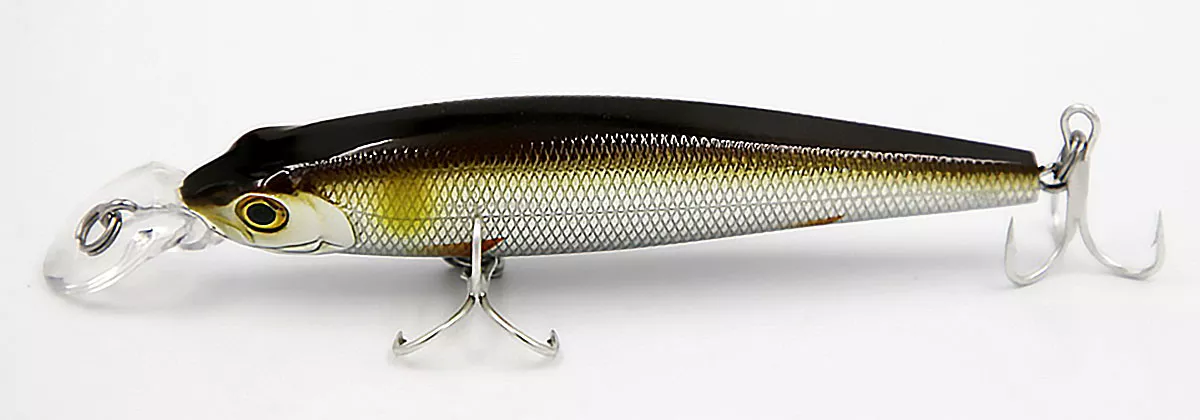Canny Minnow