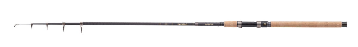 BALZER Diabolo Golden Circle Tele 45, 2,40m 10-45g 1st