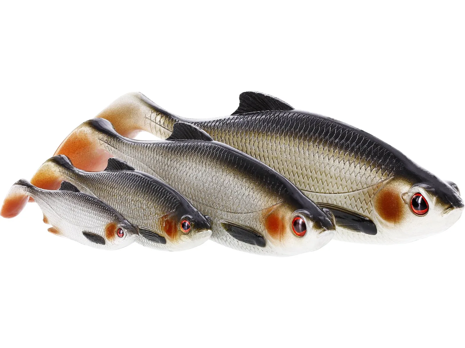Ricky The Roach Shadtail 14cm 42g Preyfish 1st – Ansicht 3