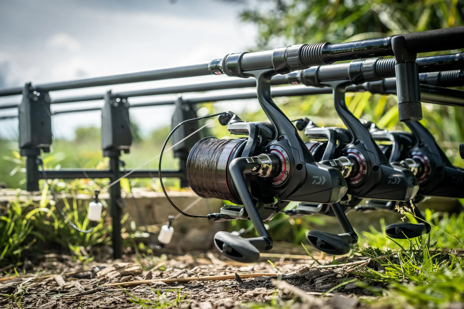 Daiwa 20 Whisker 25 QD Big Pit Rolle Ansicht 4