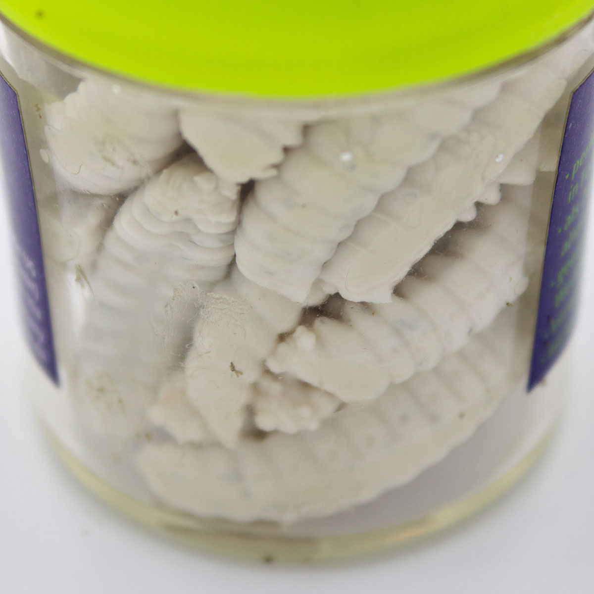 Bloodworm Beemaggot white