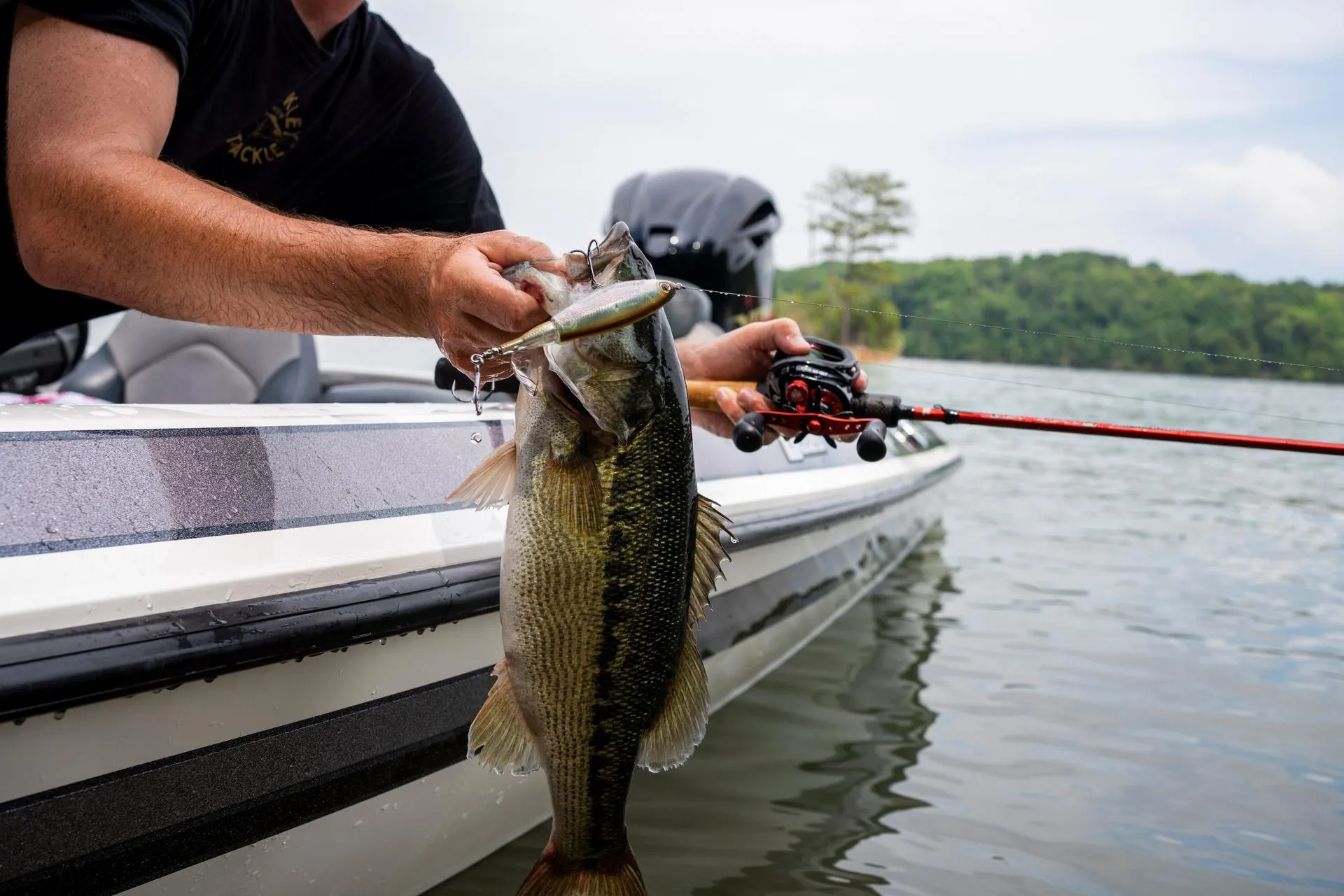 BERKLEY Choppo Ghost Bluegill 90mm 14g Topwater