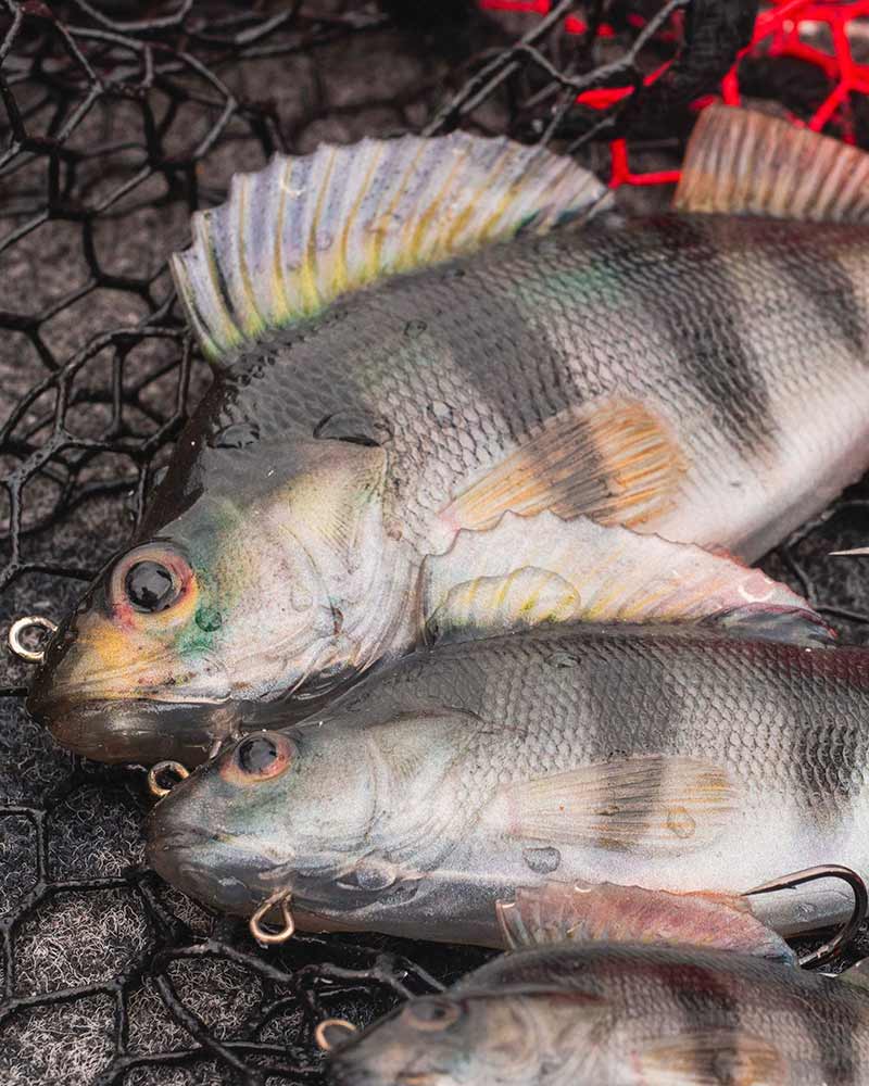FOX RAGE Ultra-Realistic Perch Replicant 10cm - 22g/#8 weitere Ansicht