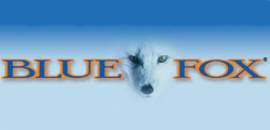 BLUE FOX