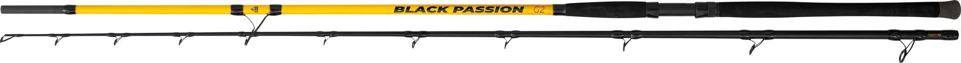 BLACK CAT Black Passion G2 Wallerrute