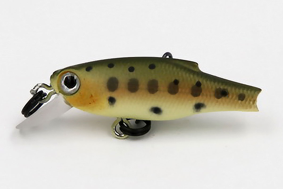 Matte Trout
