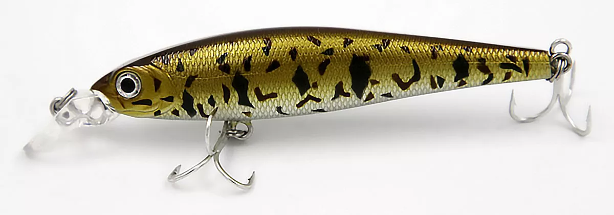 Goby