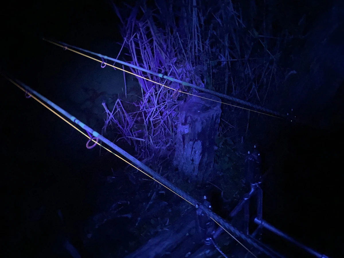 ANACONDA Vipex UV-Blacklight