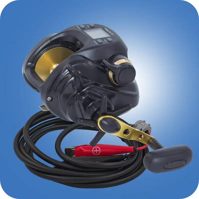 Multirollen elektrisch