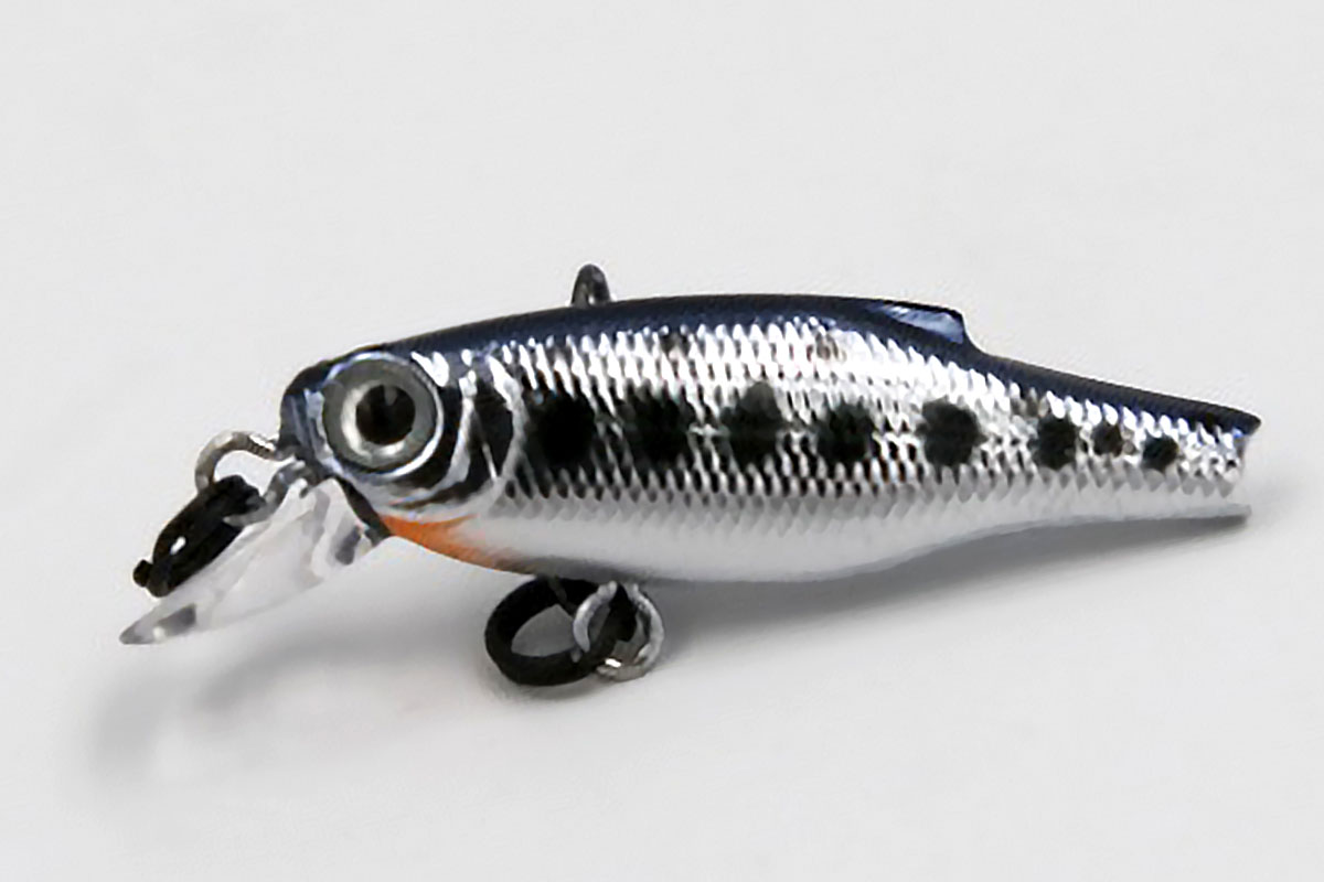 Chrome Trout