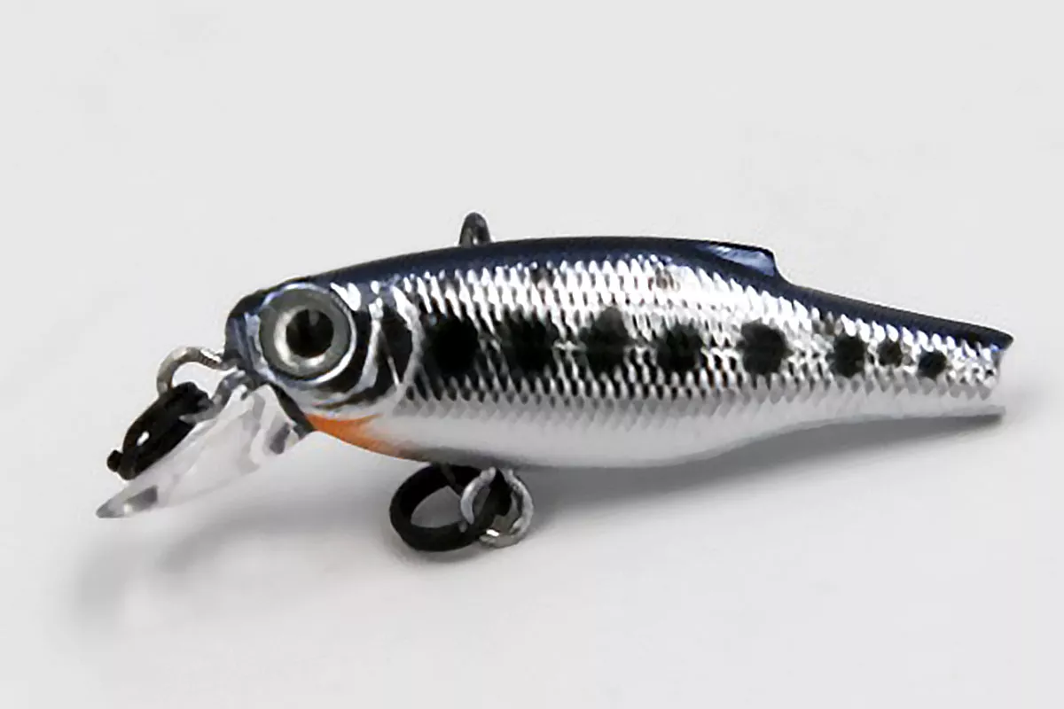 Chrome Trout