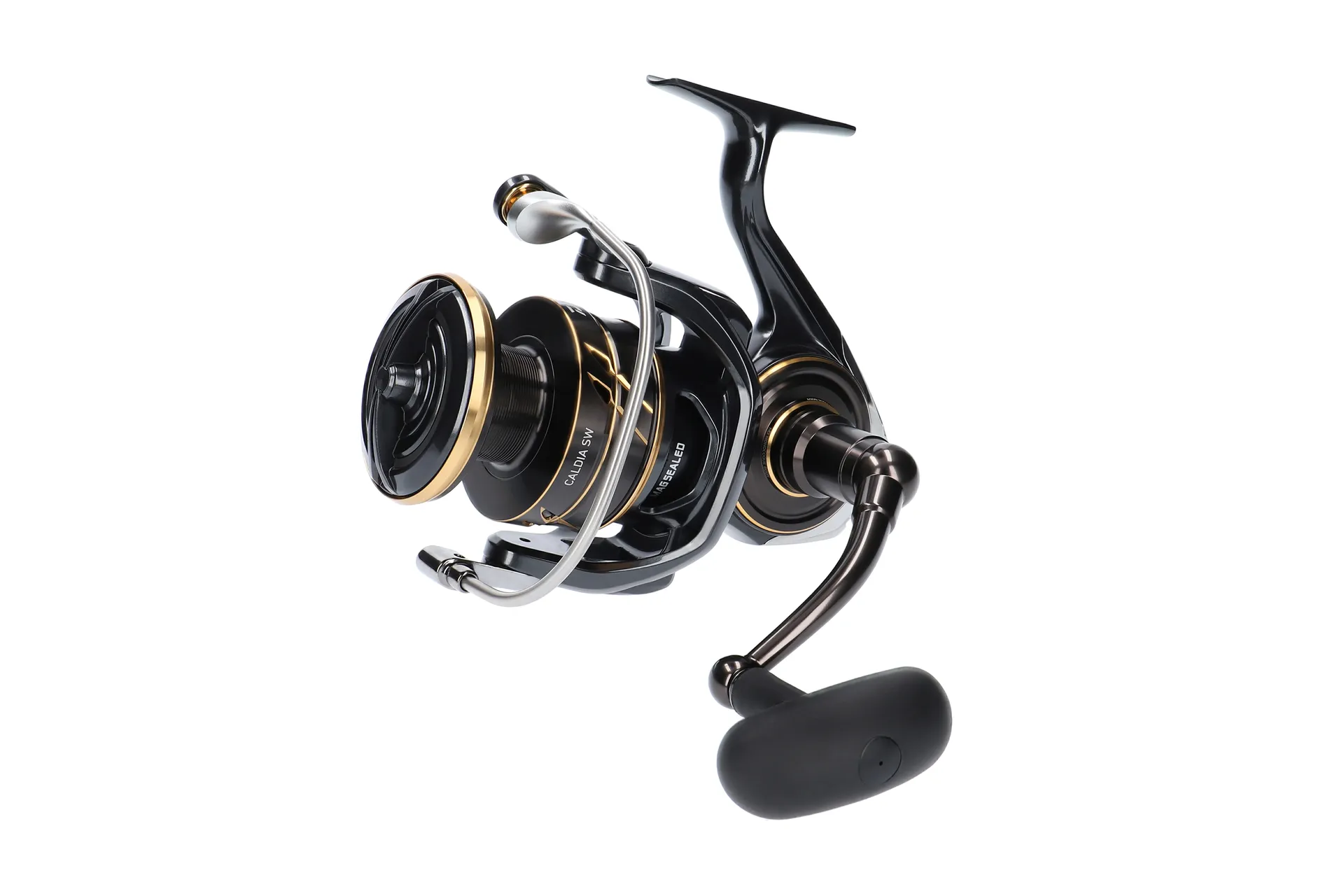 Daiwa 23 Caldia SW 10000-H Meeresrolle Ansicht 4