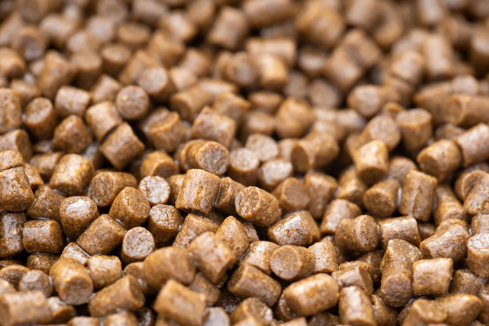 SONUBAITS Clear Pellet Oil Power Scopex 200ml weitere Ansicht