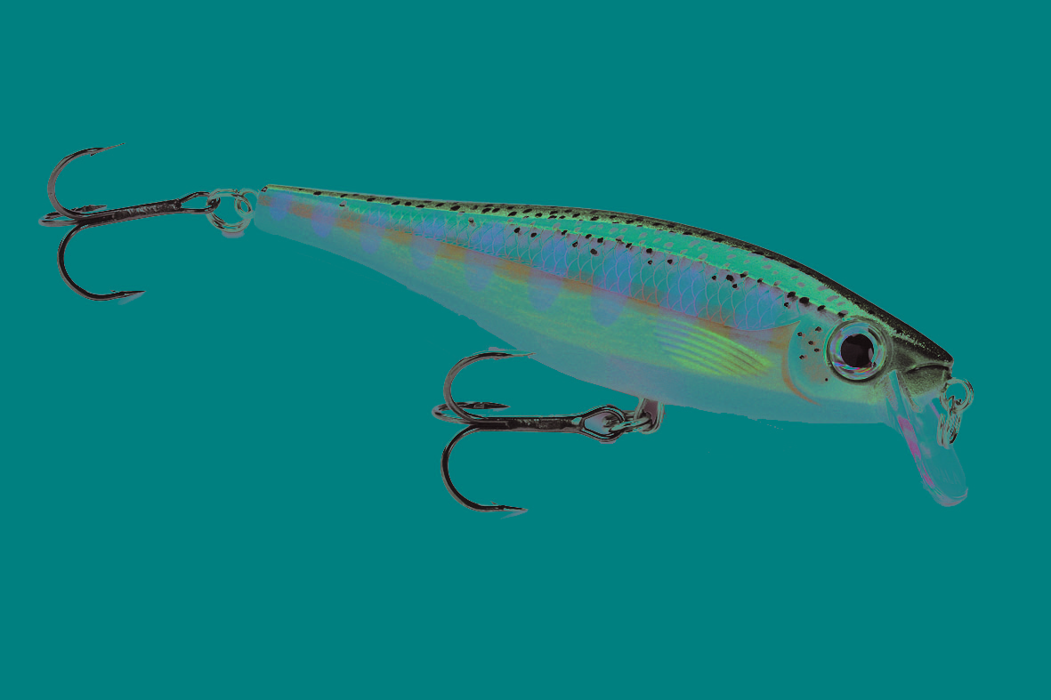 RAPALA BX Minnow floating