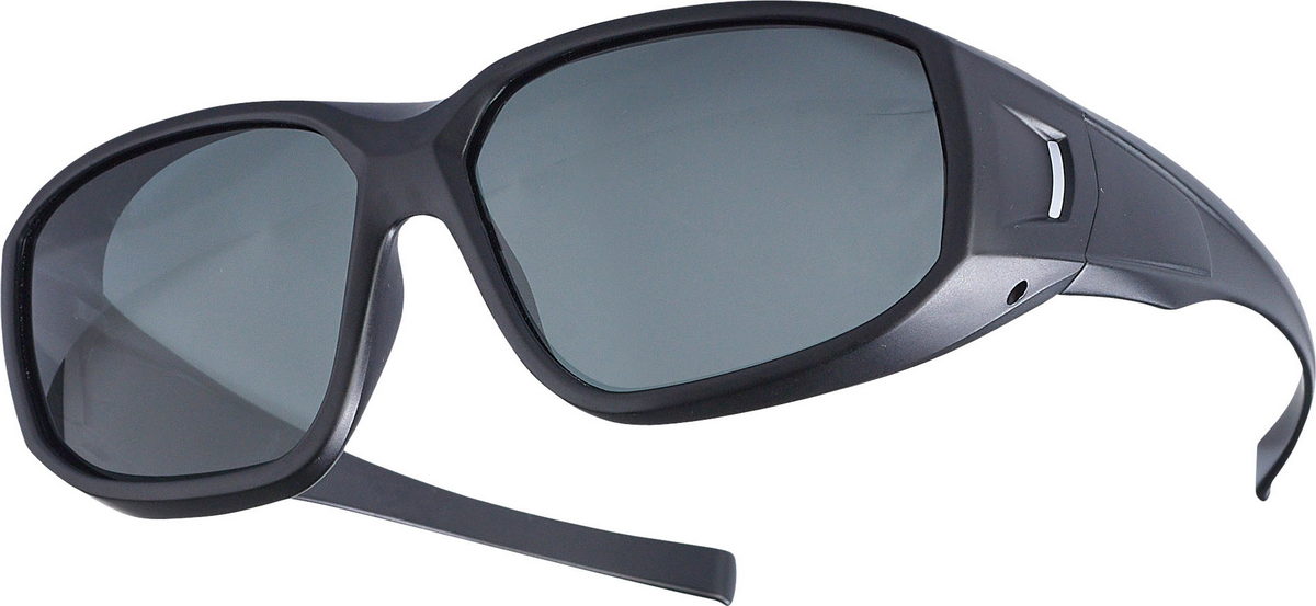 BALZER Polarisationsbrille Genf, graue Gläser
