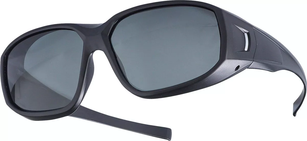 BALZER Polarisationsbrille Genf, graue Gläser