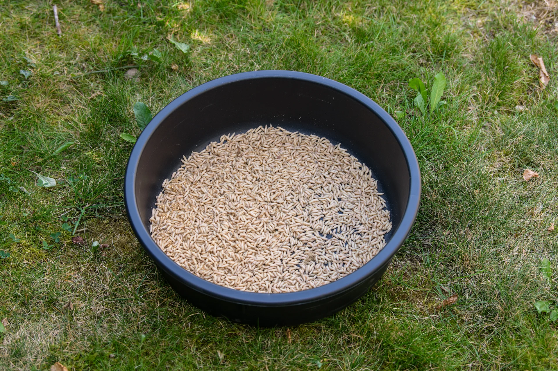 MS-RANGE Competition Madenkleber 350g weitere Ansicht