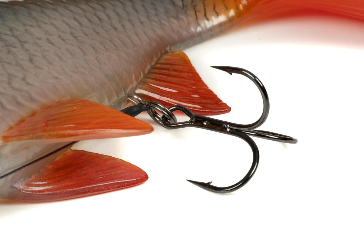 FOX RAGE Ultra-Realistic Natural Roach Replicant 23cm weitere Ansicht