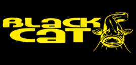 BLACK CAT