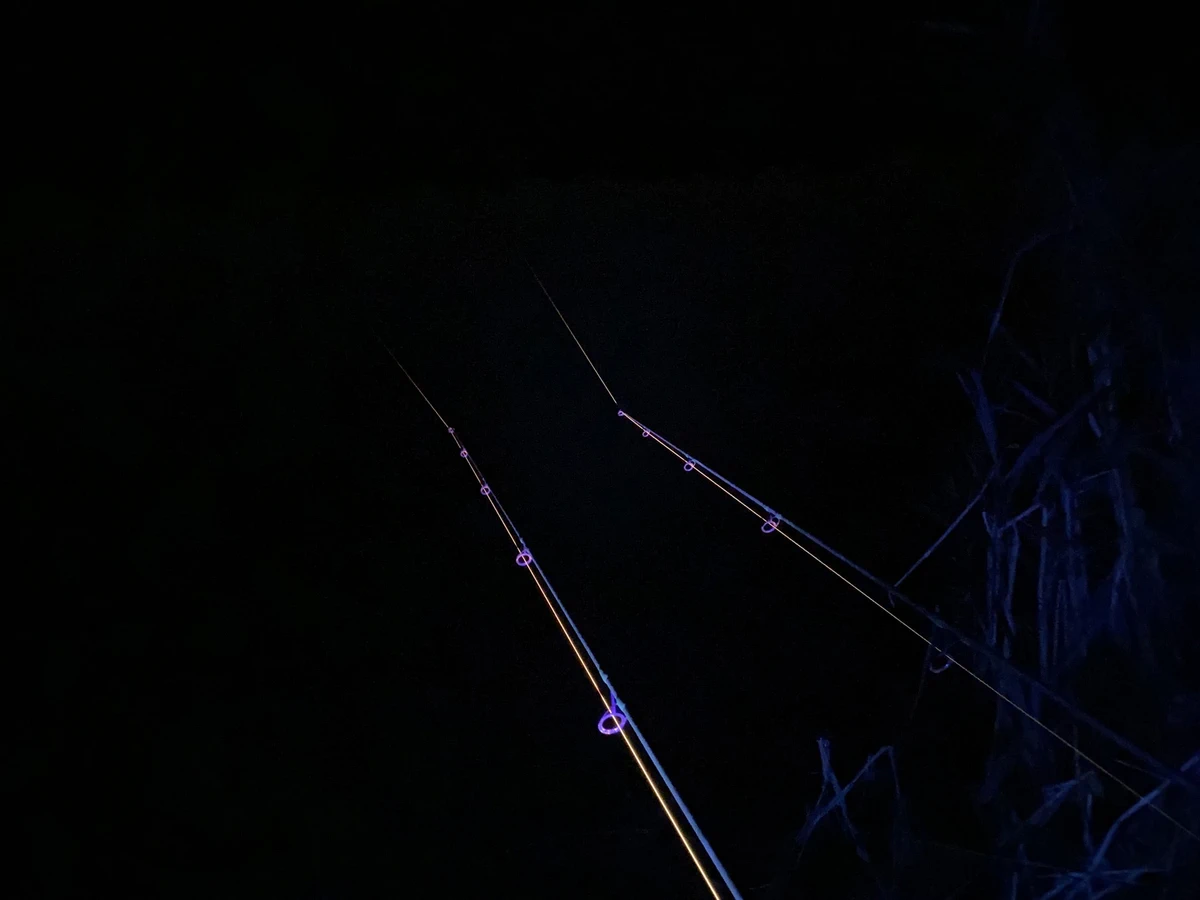 ANACONDA Vipex UV-Blacklight