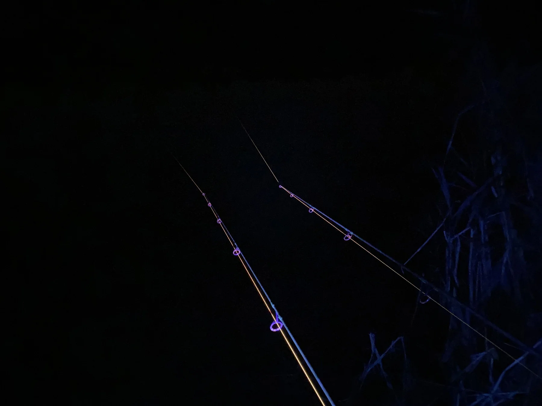 ANACONDA Vipex UV-Blacklight weitere Ansicht
