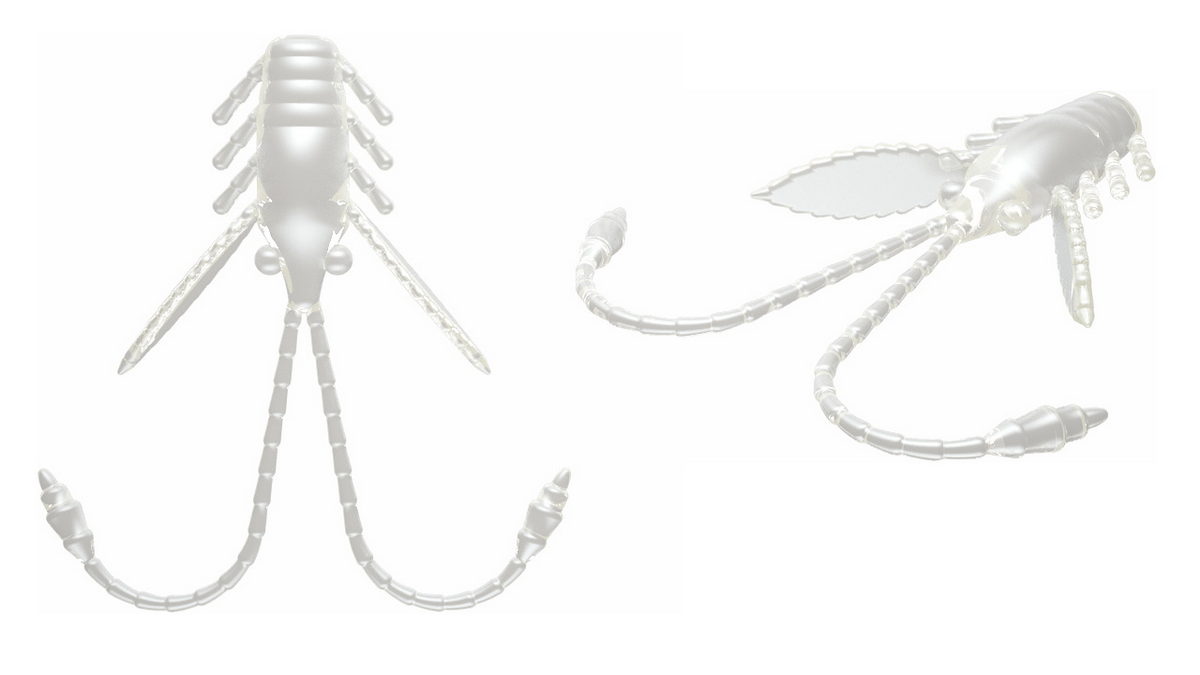 LIBRA LURES Pro Nymph 18 Cheese 040-black 15st, Forellenköder, schwimmend und aromatisiert — 1.80 Silver Pearl Krill