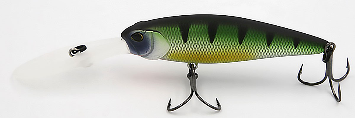 Green Perch