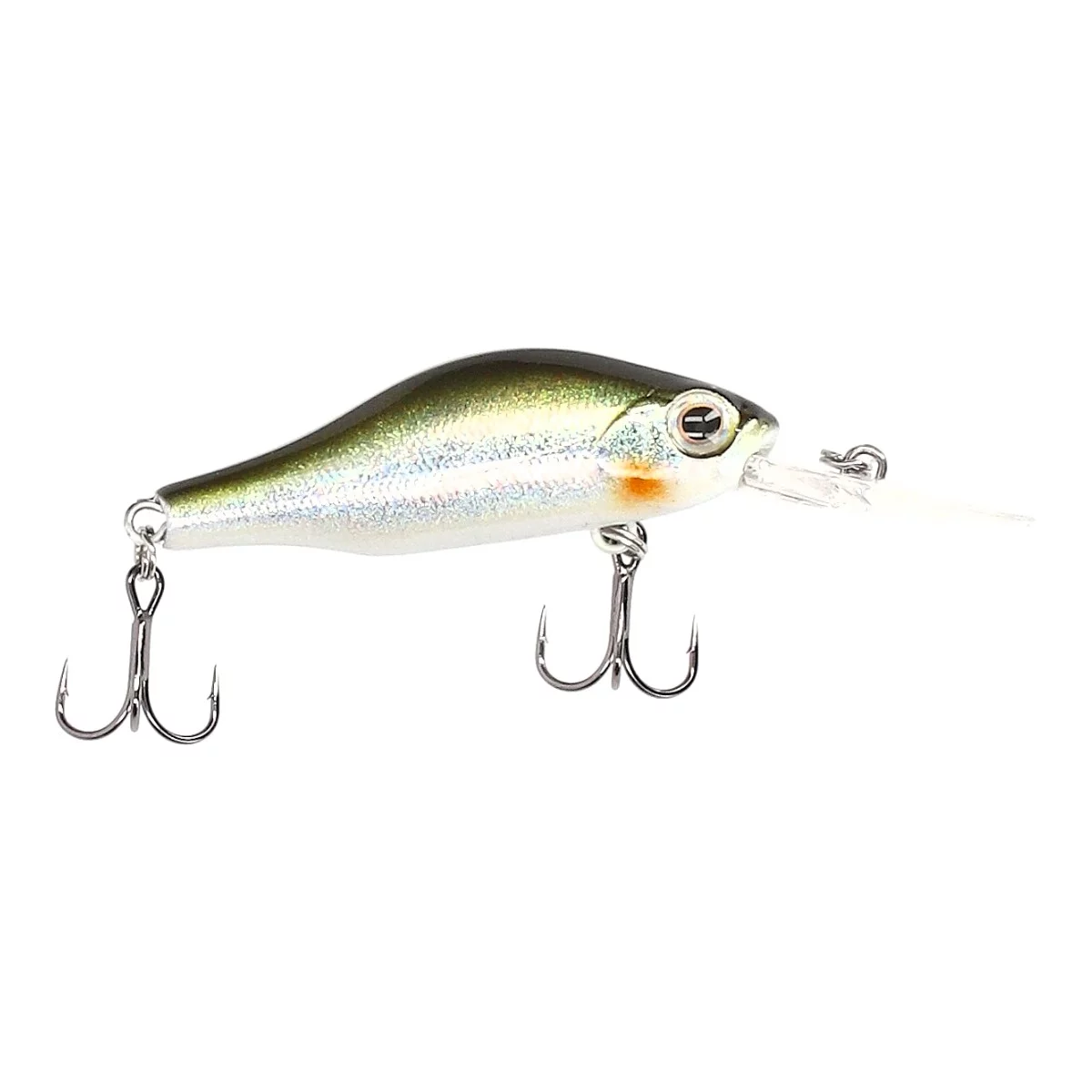 Green Shiner