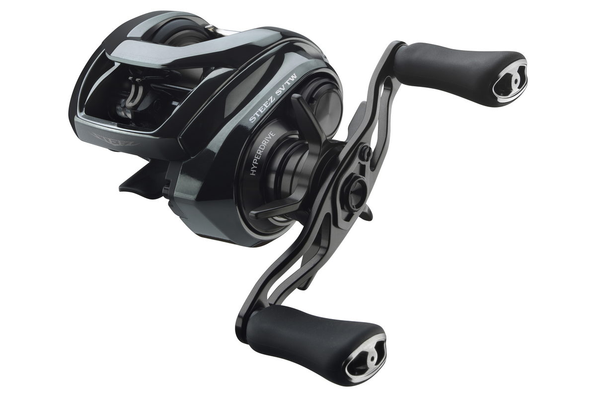DAIWA 24 Steez SV TW 100 Baitcastrolle